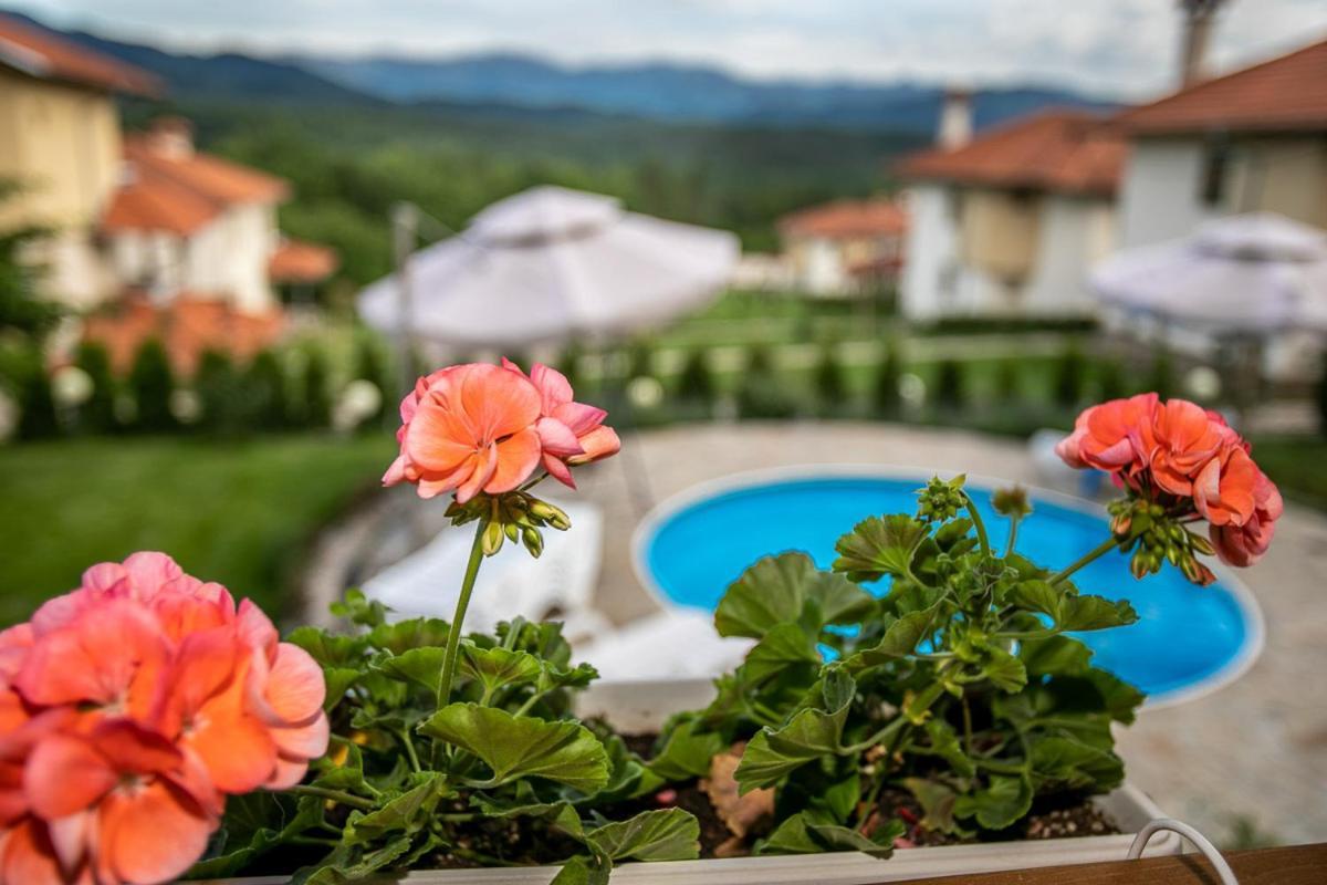 Vila Gardenia Gumoshtnik Ngoại thất bức ảnh